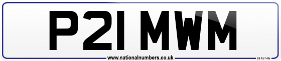 P21 MWM