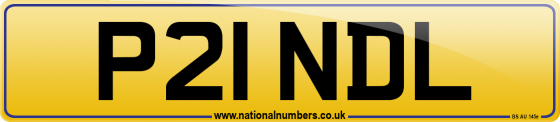 P21 NDL