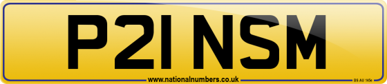P21 NSM