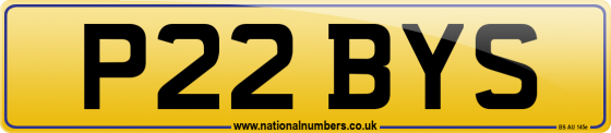P22 BYS