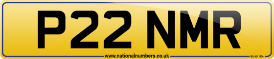 P22 NMR