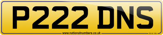 P222 DNS