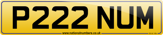 P222 NUM
