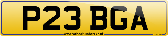 P23 BGA
