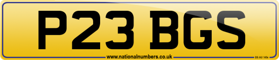 P23 BGS