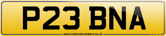 P23 BNA