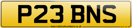 P23 BNS