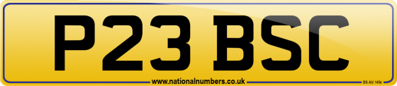 P23 BSC