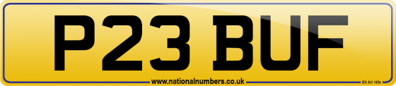 P23 BUF