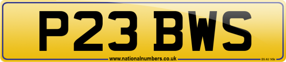 P23 BWS