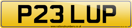 P23 LUP