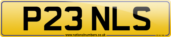 P23 NLS