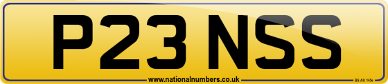 P23 NSS