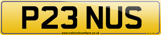 P23 NUS