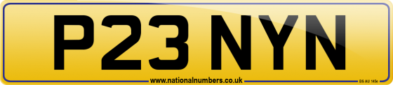 P23 NYN