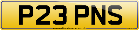 P23 PNS