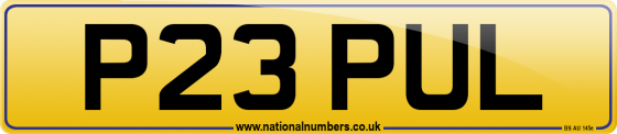 P23 PUL