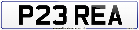P23 REA