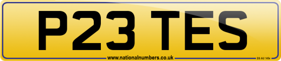 P23 TES