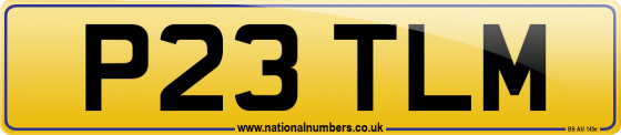 P23 TLM