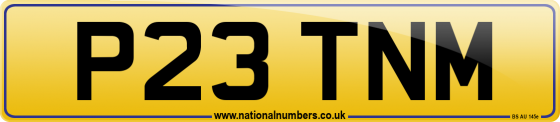 P23 TNM