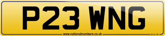 P23 WNG