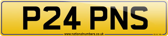 P24 PNS