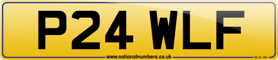 P24 WLF