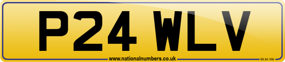 P24 WLV