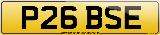 P26 BSE