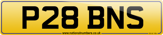 P28 BNS