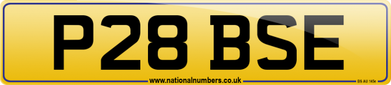 P28 BSE