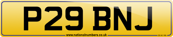 P29 BNJ