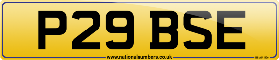 P29 BSE