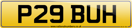 P29 BUH