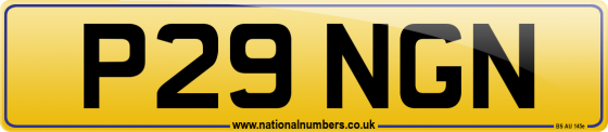 P29 NGN