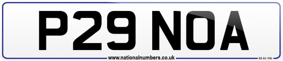 P29 NOA