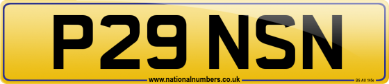 P29 NSN