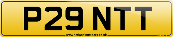 P29 NTT