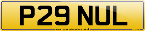 P29 NUL
