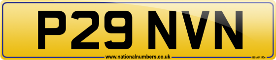 P29 NVN
