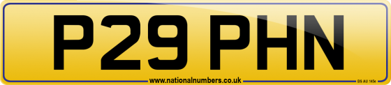 P29 PHN