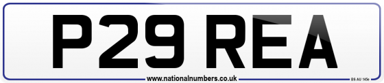 P29 REA