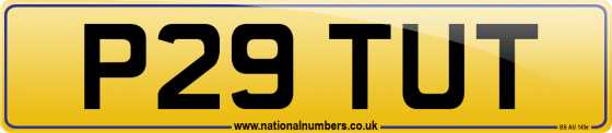 P29 TUT