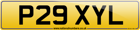 P29 XYL