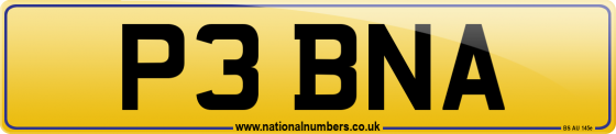 P3 BNA
