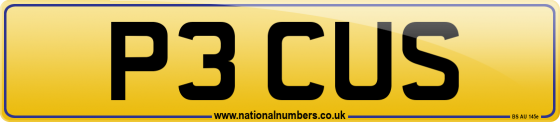 P3 CUS