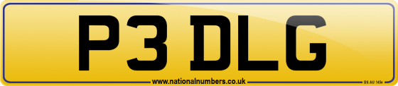 P3 DLG