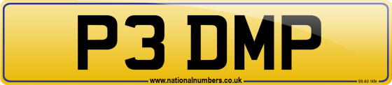 P3 DMP