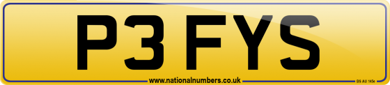 P3 FYS